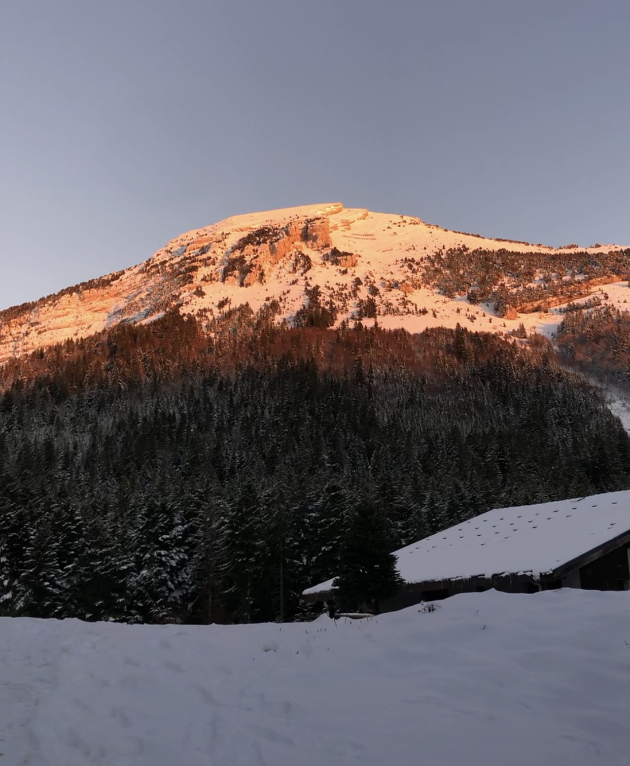 Top 5 des activités à pratiquer au Col de Porte en hiver