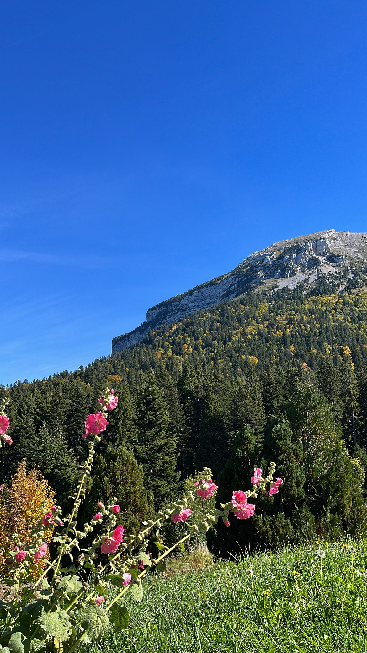 Le gîte Garin devient le Domaine de Rozan