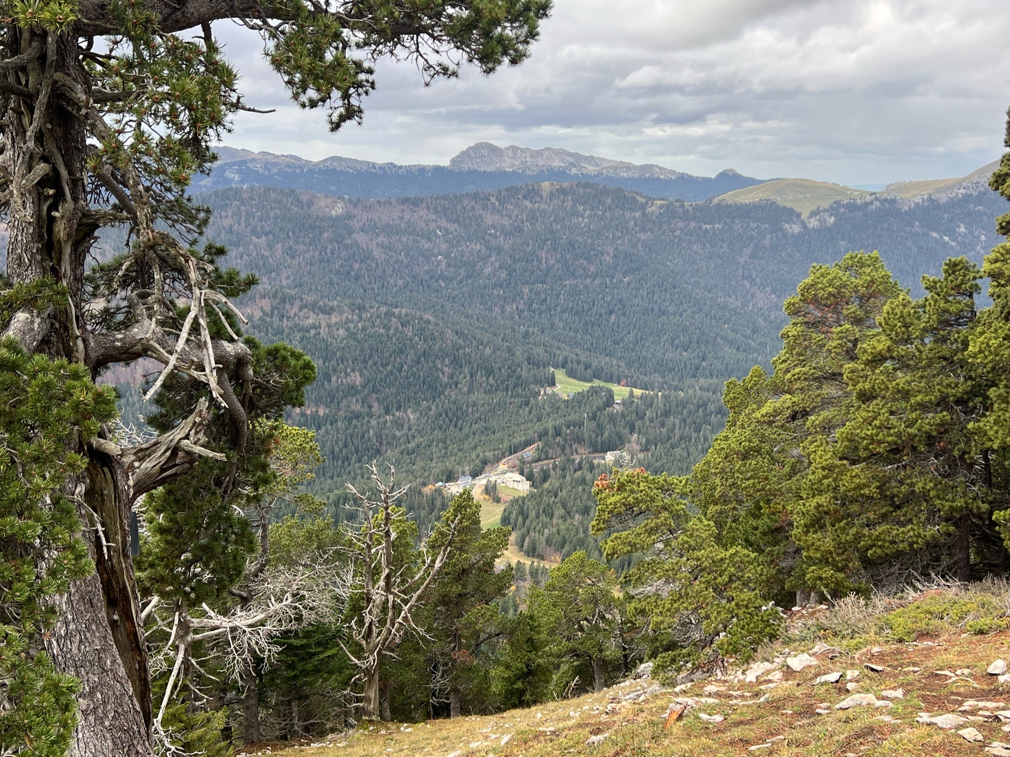 Le gîte Garin devient le Domaine de Rozan