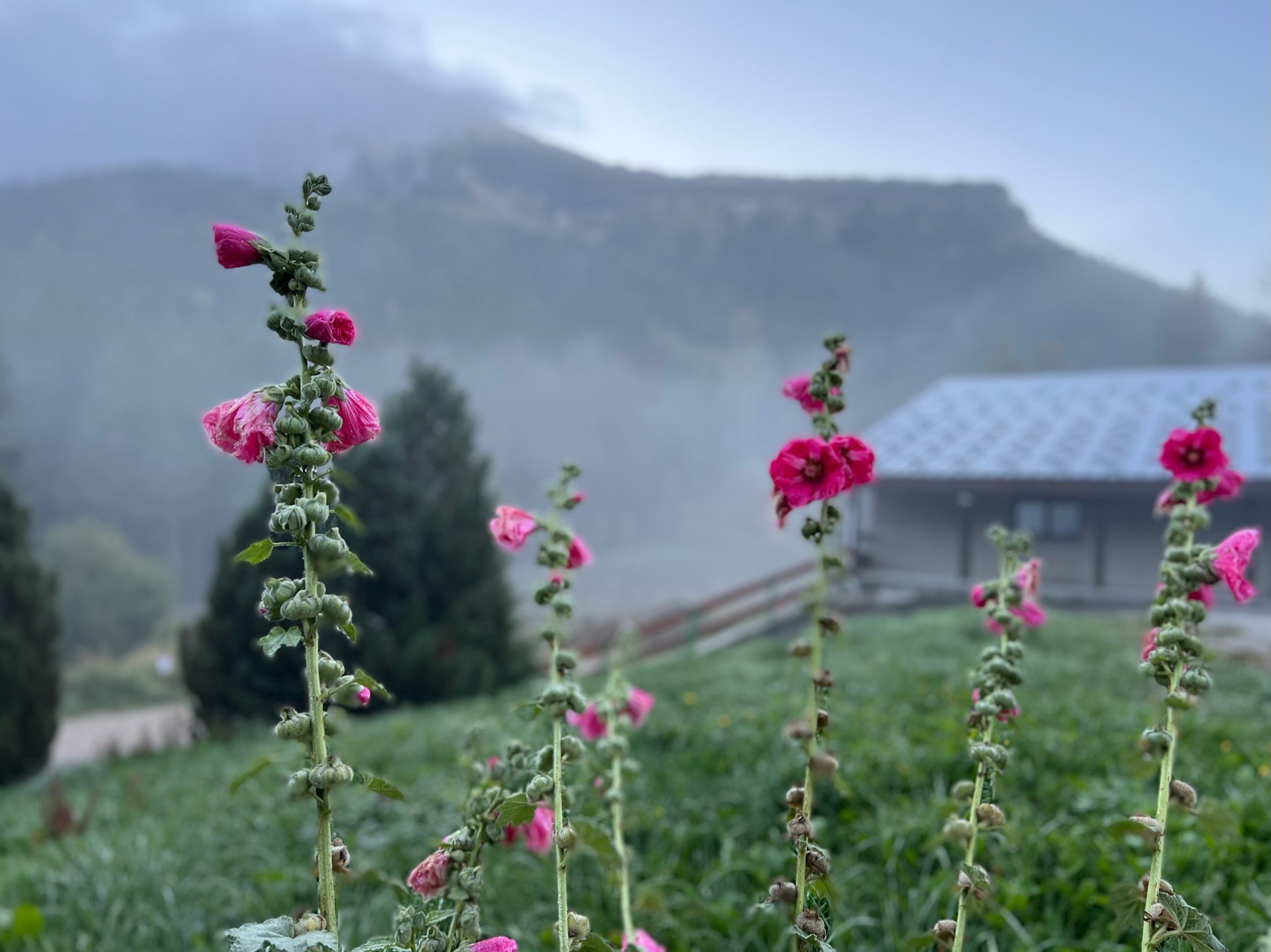 Le gîte du Domaine de Rozan à potentiel de Slow Tourisme