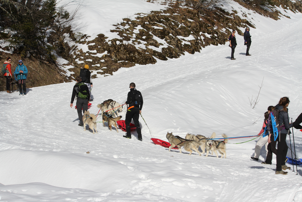 La Piste du Charmant-Som : itinéraire pour tous les goûts.