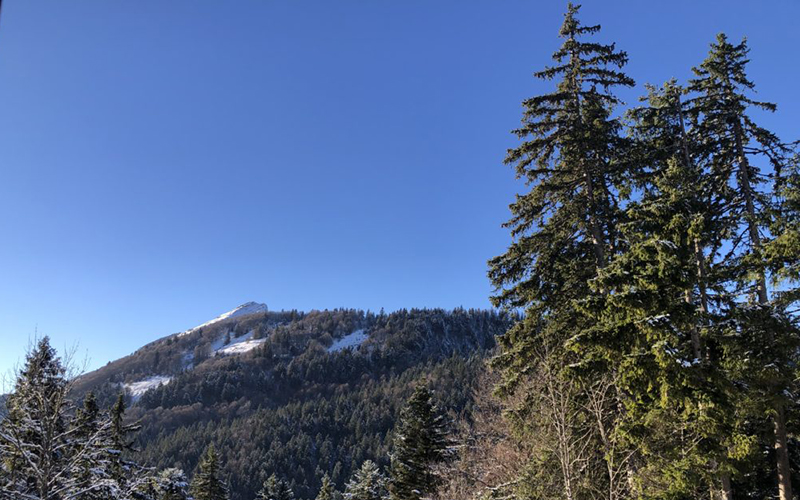 Un Bol d&rsquo;air depuis Grenoble ? Direction le Col de Porte !