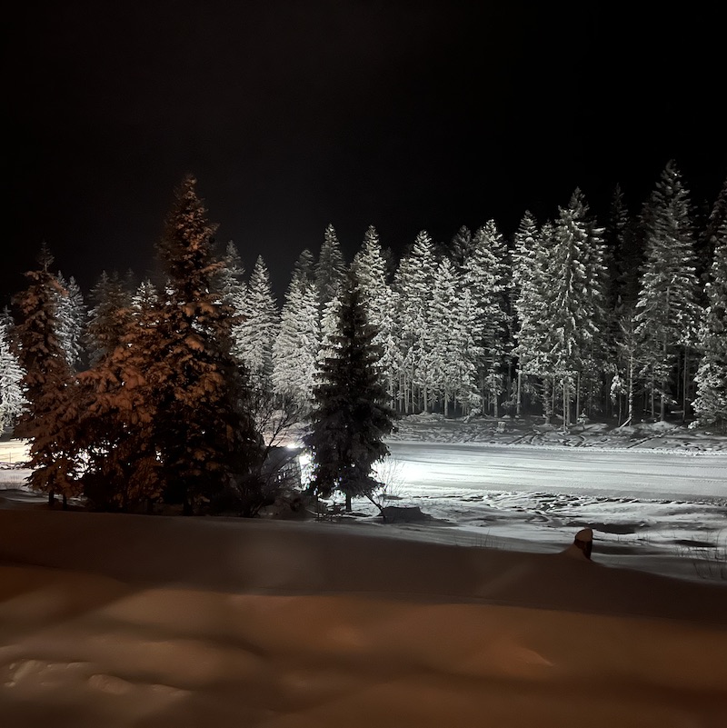 Musique en forêt, en montagne, dans la nature