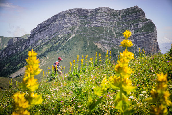 Photo prise durant le trail du Grand DUC