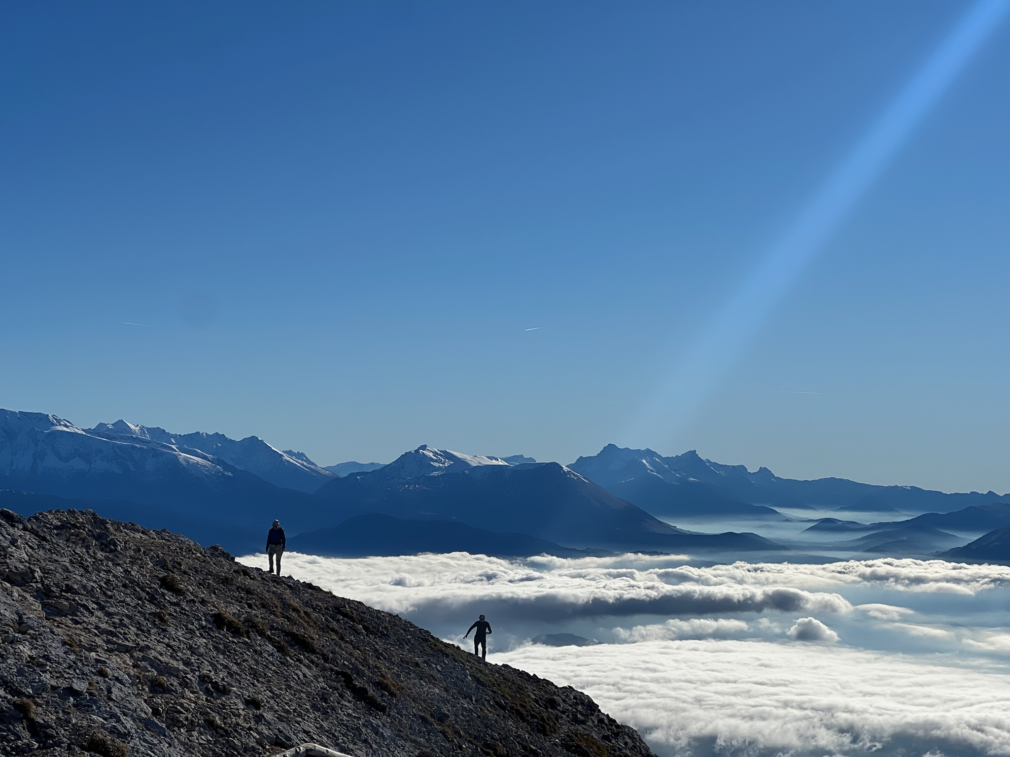 trail en chartreuse