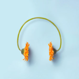 Sound Flower