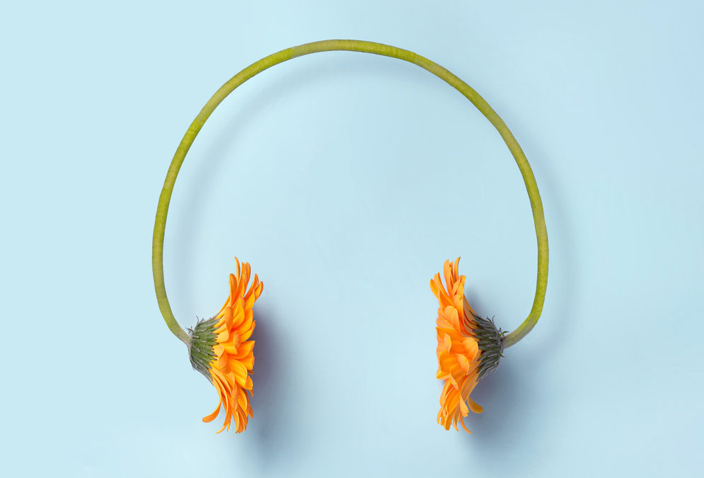 La Playlist Printemps du Domaine de Rozan