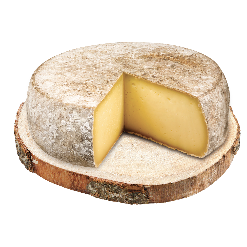 Tomme de Chartreuse