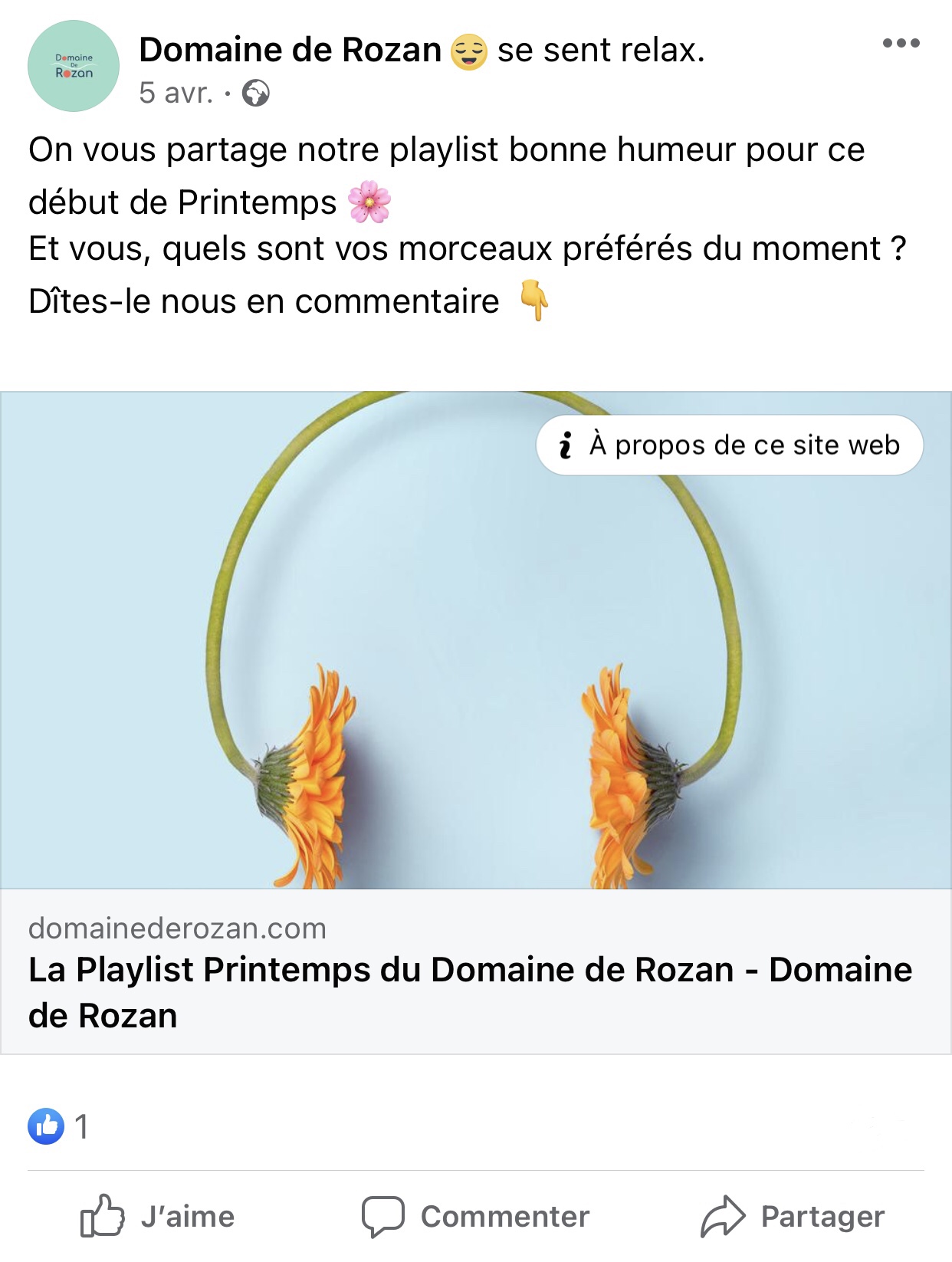 publication facebook article de blog playlist