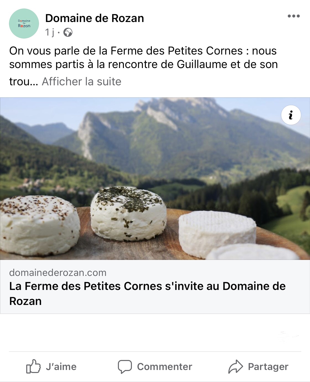 publication facebook article de blog 
