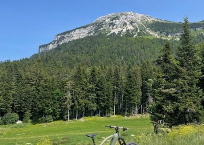 Location de vélo à assistance électrique en Chartreuse