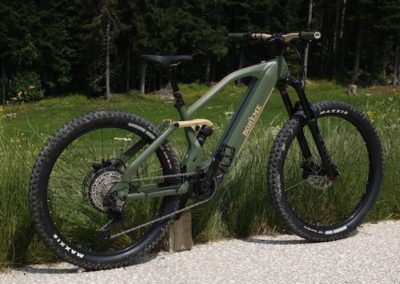 Location de vélo à assistance électrique en Chartreuse