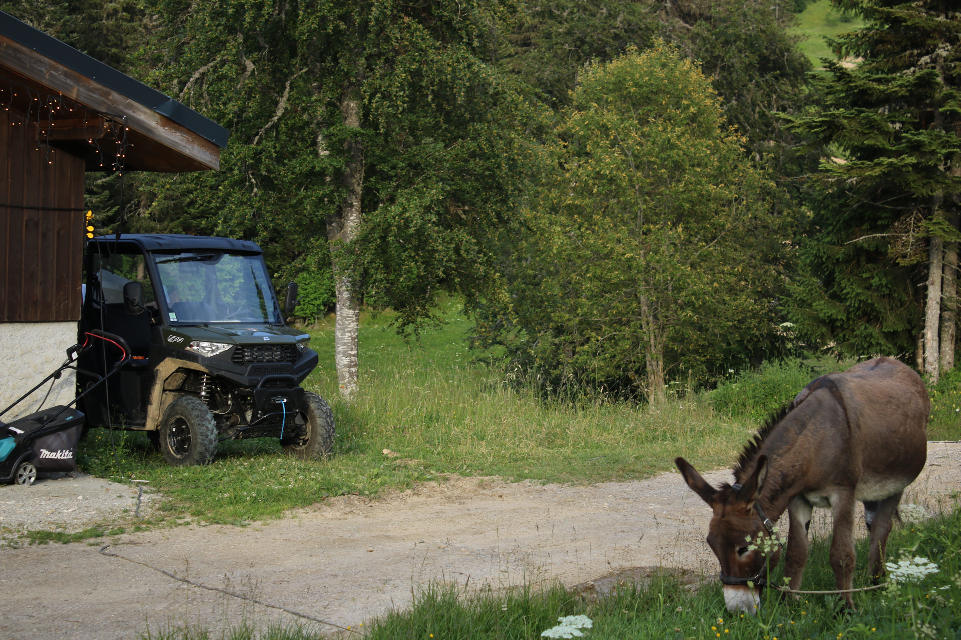 Nature au Domaine de Rozan