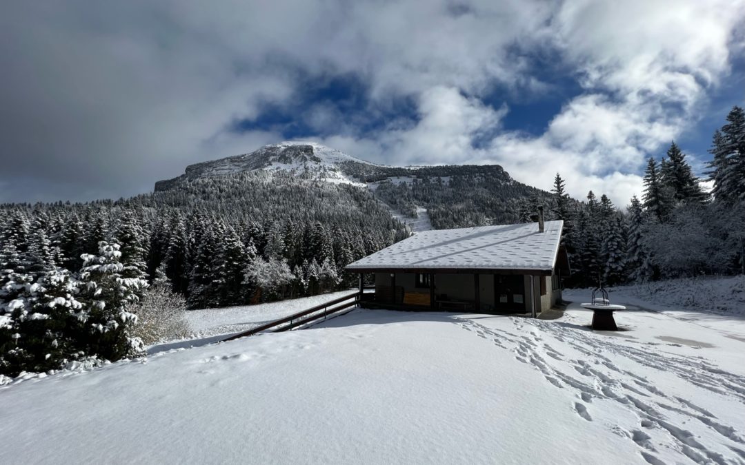 Ecologie hivernale : des fêtes durables et respectueuses de l&rsquo;environnement