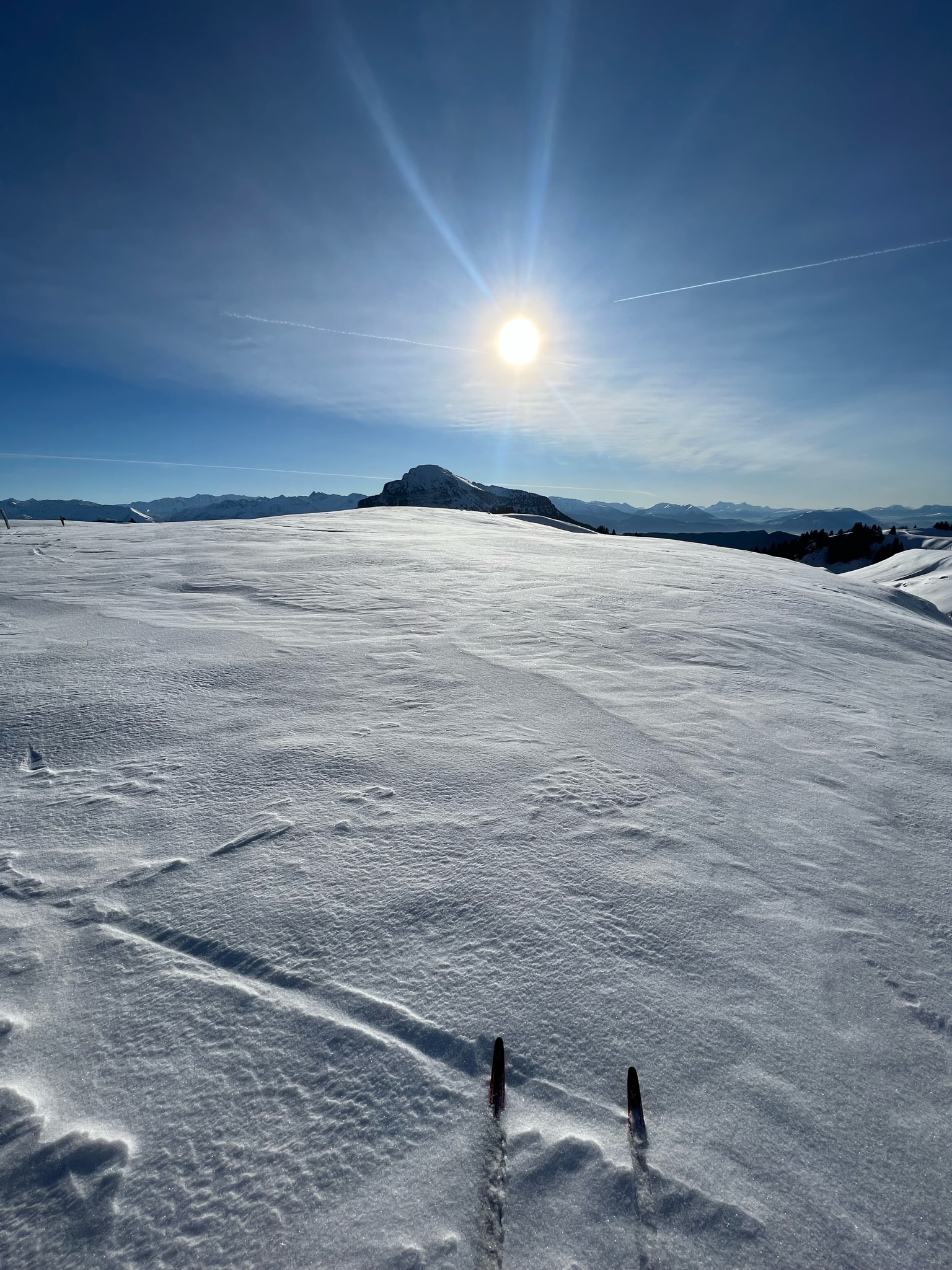 L'adaptation de la station au changement climatique