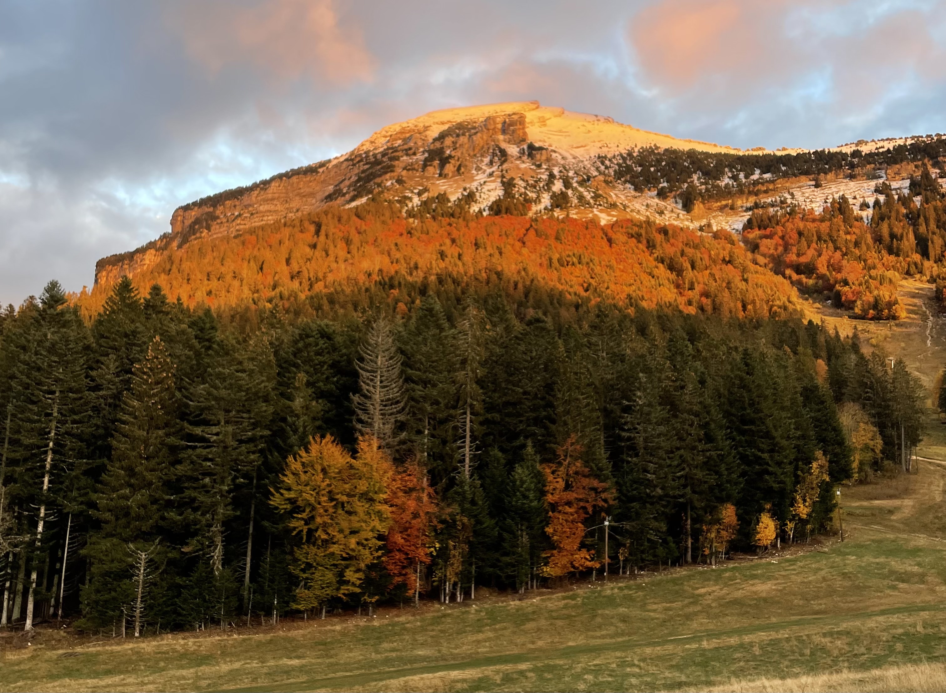 Chartreuse à l'automne