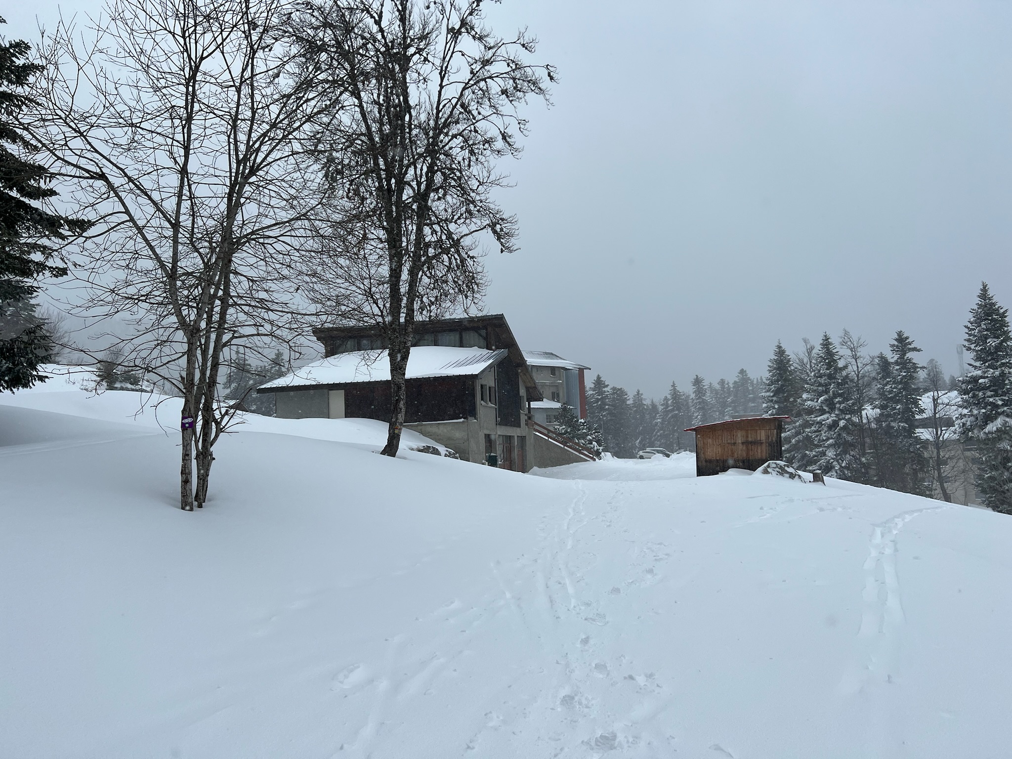 L'adaptation de la station au changement climatique