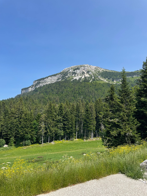 Sommet Chamechaude